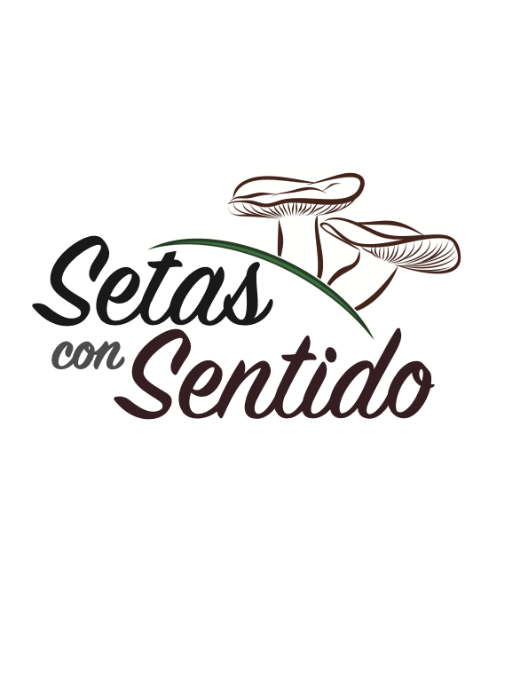 Setas con Sentido